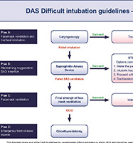 2015 DAS成人困难插管指南